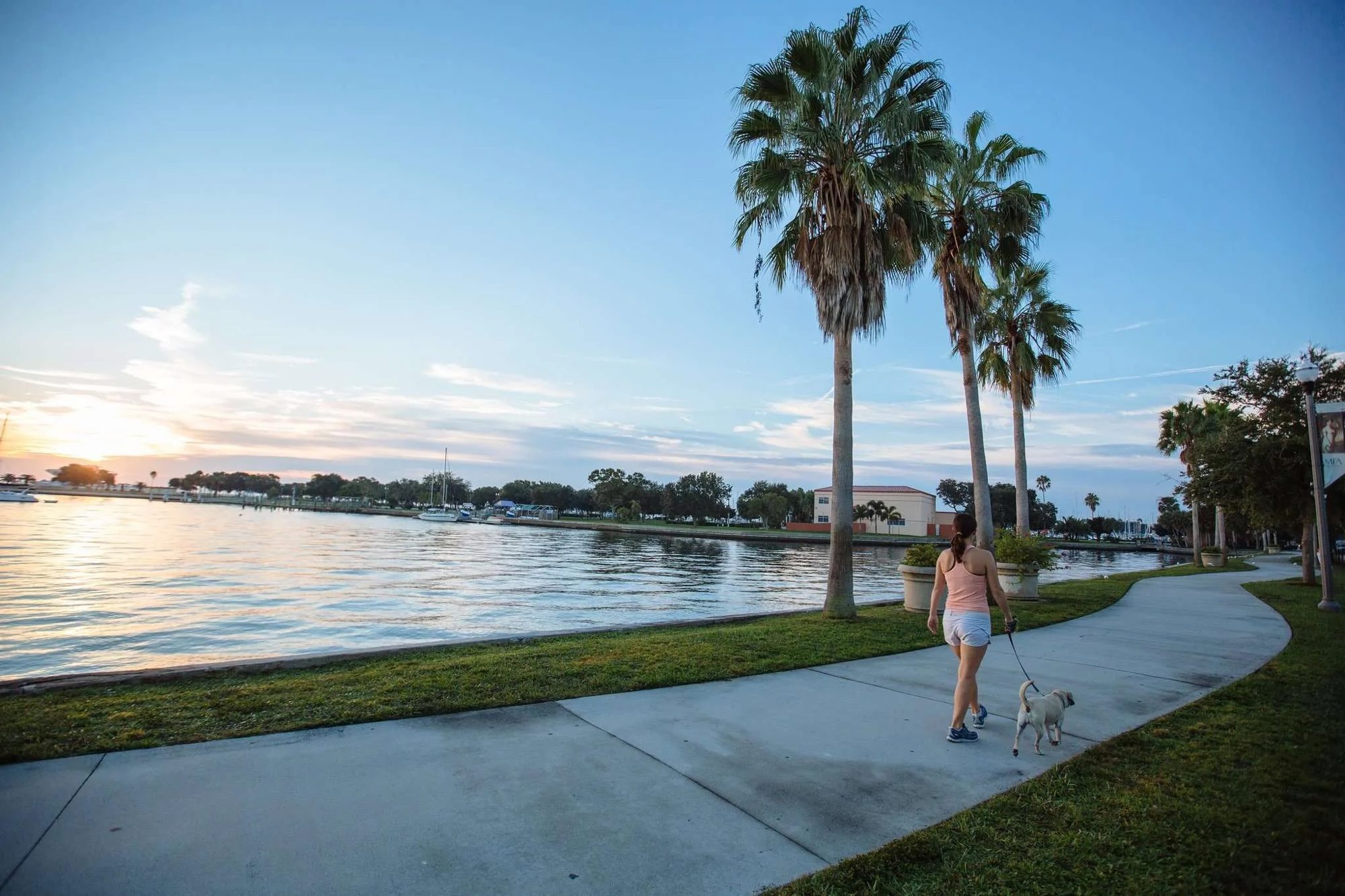 Waterfront palm-lined walking path at Vinoy Park in downtown St. Petersburg, Florida